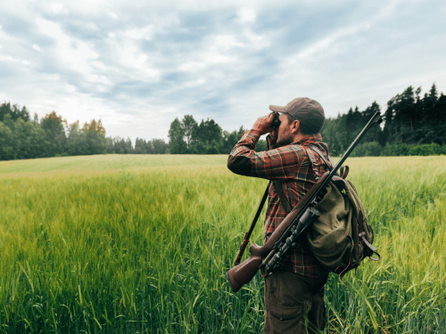 A hunter in a field of green grass with a backpack over one shoulder and a rifle over the other shoulder, looking through binocuulars